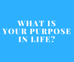 What is your purpose in life?